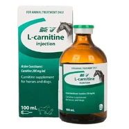 L-Carnitine 100ml Injection