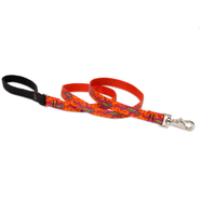 Lupine 4 foot Lead Go Go Gecko 3/4" Thick