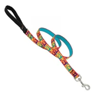 Lupine 4 foot Lead Crazy Daisy 3/4 inch wide