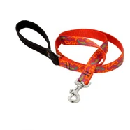 Lupine 4 foot Lead Go Go Gecko 1 inch thick