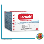 Lectade Box of 12 Sachets
