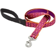 Lupine 4ft Alpen Glow 3/4" Lead