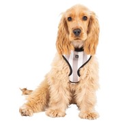 Mog and Bone Latte Hamptons Stripe Harness for dogs