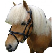 Miniature Pony Hanoverian Bridle