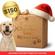 Deluxe Medium/Large Dog Christmas Mystery Box