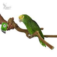 MULTI BRANCH MEDIUM
