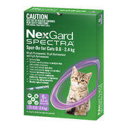 Nexgard Spectra 6 pack for small cats spot on 0.8 - 2.4kg