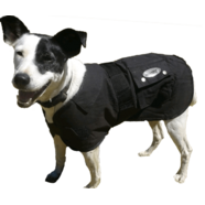 Nullabor Oilskin Dog Coat
