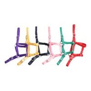 Eureka Buckle Halter Full
