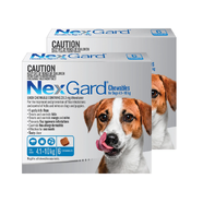 Nexgard Medium Dog 4-10kg pack of 12 (2 x 6 packs)