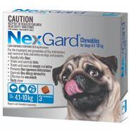 Nexgard Medium Dog 4-10kg pack of 3