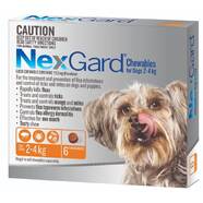 Nexgard Small Dog 2-4kg pack of 6