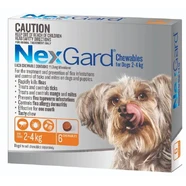 Nexgard Small Dog 2-4kg pack of 6