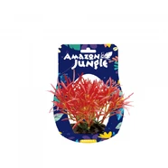 Amazon Jungle Crimson Fan Grass Display 10-12cm