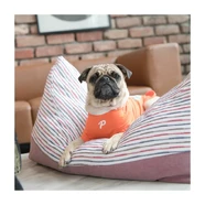 *CLEARANCE* Puppia Bateau Bed [Colour: Wine] 