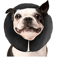 Zenpet Pro Collars