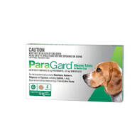 Paragard Allwormer tablets for medium dogs pack of 4 x 10kg tablets