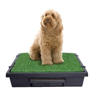PetSafe Pet Loo Portable Indoor/Outdoor Pet Toilet