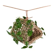 Penn Plax Natural Weave Hanging Hideout