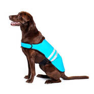 Zippy Paws Cooling Dog Vest
