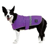 ZeeZ Dapper Dog Coat Royal Purple 41cm