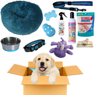 Puppy Pack Blue - Large  Deluxe