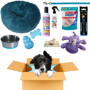 Puppy Pack Blue - Medium Deluxe