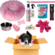 Puppy Pack Pink Medium Deluxe