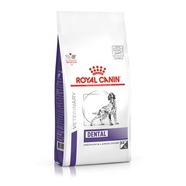 Royal Canin Canine Dental 6kg