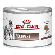 Royal Canin Recovery Canine/Feline 195g Tray of 12
