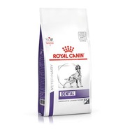 Royal Canin Canine Dental 13kg