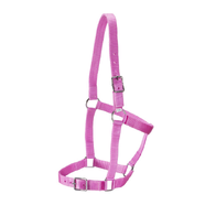Rancher Stable Halter - FULL [PINK]
