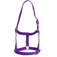 Rancher Stable Halter - FULL (PURPLE)