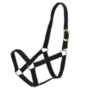 GG Australia Stable Halter Cob - Black