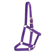GG Australia Stable Halter Cob - Purple