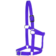 Rancher Economy Foal Halter [Colour: Blue]