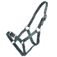 Rancher Economy Foal Halter [Colour: Hunter Green]
