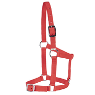 Rancher Economy Foal Halter [Colour: Red]