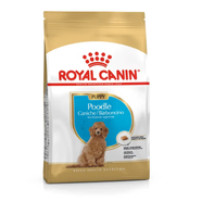 Royal Canin Poodle Puppy Dry Dog Food