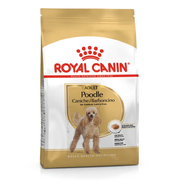 Royal Canin Poodle Adult Dry Dog Food