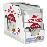 Royal Canin Feline Adult Instinctive in Jelly Wet cat food pouches 85gm x 12
