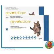Revolution for Cats 12 pack Blue