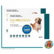 Revolution 12 pack for dogs 20- 40kg Teal 