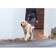 ROGZ specialty hands-free lead
