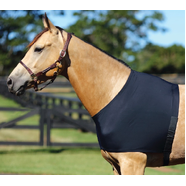 Horsemaster Lycra Shoulder Guard - Black Large