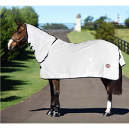 Kool Master Flag Combo Rug - White & Navy
