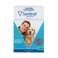 Sentinel Spectrum Blue 3 pack Chews For Large Dogs 23-45kg