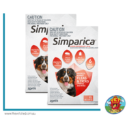 Simparica for Xtra Large dogs 40-60 kg 12 pack Flea, Tick and Mite treatment 