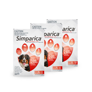 Simparica for XLarge Dogs 40 - 60kg Red