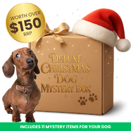Deluxe Small/Medium Dog Christmas Mystery Box